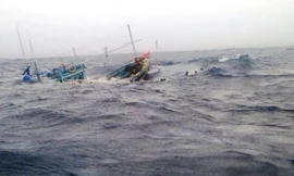 Tàu cá Bình Định chìm trên biển cùng thi thể 1 ngư dân