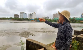 Cận cảnh khúc sông bị quây lấp chứa bùn khiến cuộc sống người dân đảo lộn 