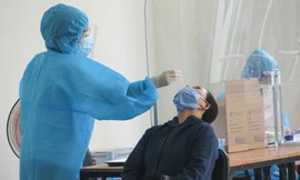 Bình Định: Thanh tra đấu thầu, mua sắm thuốc, vật tư, trang thiết bị y tế