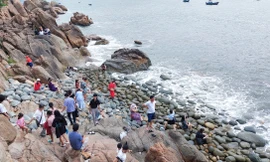 Bình Định 'bỏ túi' hơn 800 tỷ đồng từ du lịch dịp 2/9