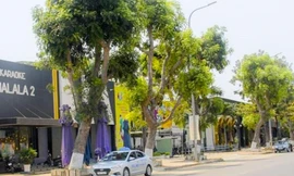  Quy Nhơn tạm dừng hoạt động karaoke, mát xa, internet, làm đẹp, gym, khiêu vũ. bi da… từ 0h ngày 2/12.