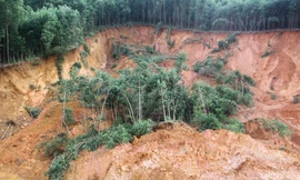Mưa lớn gây sạt lở nghiêm trọng tại huyện miền núi ở Bình Định