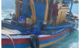 Nhiều tàu giã cào vây, tông tàu cá ngư dân ở Bình Định