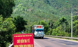 CSGT Bình Định truy bắt ô tô vượt chốt kiểm dịch