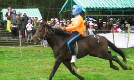 Lễ hội đua ngựa có một không hai ở Phú Yên