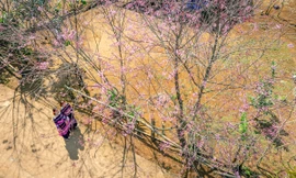 Bình Định chi 5 tỷ đồng làm nhà công vụ cho cán bộ đến công tác tại xã 'cổng trời'