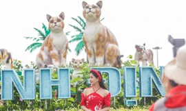 Bạn trẻ diện áo dài chụp hình với linh vật 'gia đình mèo' Tết 2023 ở Bình Định