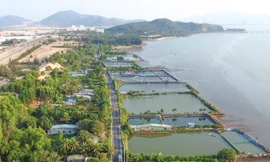 'Khai tử' dự án vui chơi giải trí gần 800 tỷ ở Bình Định