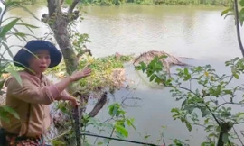 18 hộ dân ở Bình Định sống bất an lo nhà sạt xuống sông