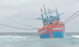 Tàu cá Bình Định bị sóng lớn đánh dạt vào bãi cạn, 4 ngư dân cầu cứu khẩn