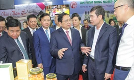 Thủ tướng chủ trì hội nghị phát triển kinh tế-xã hội vùng Bắc Trung bộ và duyên hải Trung bộ