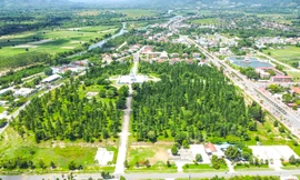 Bình Định đưa vụ nguyên Bí thư Huyện ủy thâu tóm đất rừng vào diện theo dõi