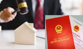 Bình Định yêu cầu kiểm soát người tham gia đấu giá đất