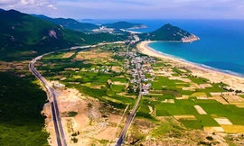 Bình Định lên kế hoạch đấu giá hơn 2.600 lô đất 