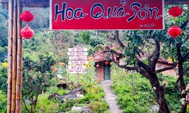 Khu du lịch tự phát Hoa Quả Sơn 'mọc' trên núi ở Bình Định