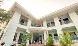 Một trưởng phòng ở Bình Định bị kỷ luật vì không chấp hành án