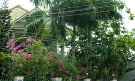 Vì cờ bạc 'quan' tan sự nghiệp, vướng lao lý