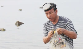 'Sói biển' lại ra Hoàng Sa