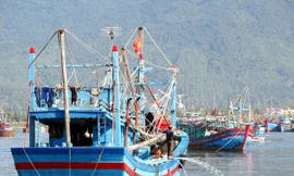 TS Đinh Xuân Thảo: Tạo điều kiện cho các hoạt động kinh tế trên biển là một hướng đi đúng đắn Ảnh: Nam Cường