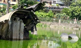 Những mốc son của bản tình ca bất tử