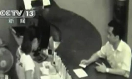 “Yêu râu xanh” đội lốt thầy