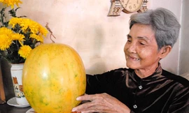 Dưa hấu để gần 1 năm vẫn tươi xanh