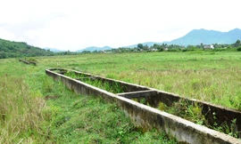 Trạm bơm thành chuồng nuôi dê