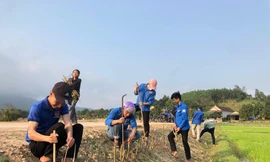 Khởi động Tháng Thanh niên, tuổi trẻ Hà Tĩnh thực hiện nhiều việc ý nghĩa
