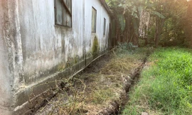 Vụ trại lợn ở Hà Tĩnh 'bức tử' môi trường: Xử phạt hơn 53 triệu đồng