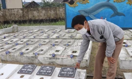 Độc đáo nghĩa địa chôn cất gần 200 cá Ông, thờ phụng như người