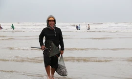 Người dân Hà Tĩnh đổ xô ra bờ biển vợt 'lộc trời' ngày cuối năm