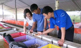 Biến ruộng hoang thành hồ nuôi ốc, nam thanh niên thu nhập nửa tỷ đồng/năm