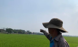 Đất nông thôn có giá khởi điểm 'trên trời': Ồ ạt bán khi chưa xong hạ tầng