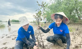 Thanh niên trồng cây hưởng ứng ngày môi trường