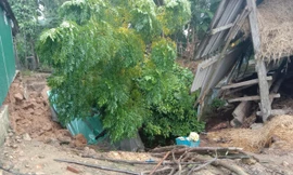 Sau tiếng động lớn rung chuyển nhà, người dân hốt hoảng thấy 'hố tử thần' 15m2 ở vườn