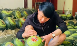 Dịch vụ khắc chữ, tạo hình trên dưa hấu hút khách ngày Tết