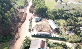 Loạt cơ sở gỗ băm dăm trái phép 'làm xiếc' giữa khu dân cư 