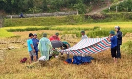 Cầm điện thoại khi đang gặt lúa, người đàn ông bị sét đánh tử vong