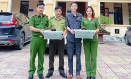 Người dân giao nộp nhiều cá thể rùa quý hiếm