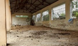 Cảnh hoang tàn tại trung tâm giáo dục 39 tỷ đồng ở Hà Tĩnh