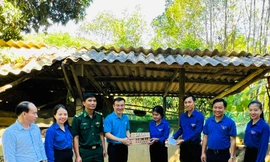 Cấp phát thuốc, hỗ trợ cây ăn quả, gà 'sinh kế' cho người dân tộc Chứt