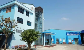 Từ cơn đau thoát vị đến hành trình sáng chế dung dịch xoa bóp thảo dược