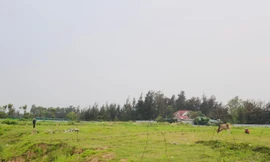 Sau 4 năm phê duyệt, dự án nghỉ dưỡng hơn 240 tỷ chỉ là bãi đất trống