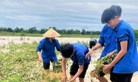 Thanh niên, bộ đội giúp người dân khắc phục sau trận lũ chưa từng có ở Hà Tĩnh