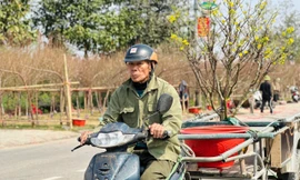 Nghề 'chở Tết' đến mọi nhà kiếm tiền triệu mỗi ngày