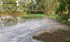 Vụ trại lợn ở Hà Tĩnh 'bức tử' môi trường: Lộ rõ nhiều bất cập