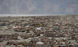 Nhà hàng xơ xác, rác tràn bờ biển Hà Tĩnh