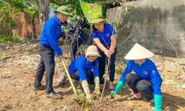 Hơn 10.000 đoàn viên thanh niên Hà Tĩnh hưởng ứng Ngày Chủ nhật xanh