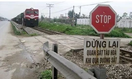 Chạy lên đường sắt để đuổi bò, người đàn ông bị tàu hỏa tông tử vong