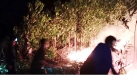 Cháy rừng ở Hà Tĩnh trong đêm, hàng trăm người tham gia dập lửa